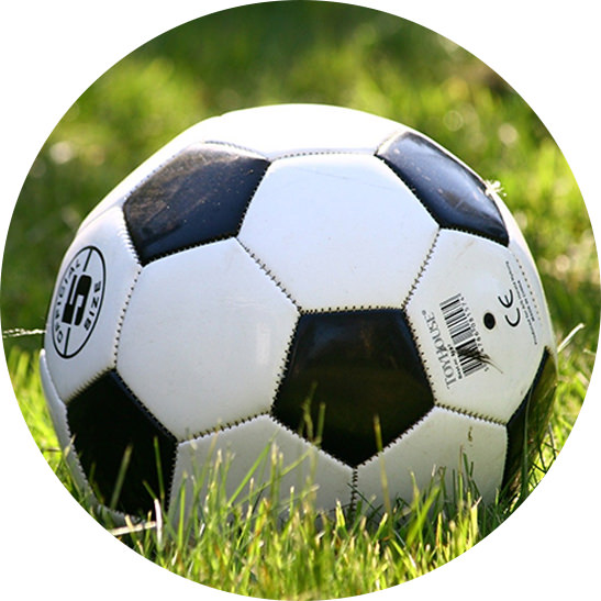 sports-services